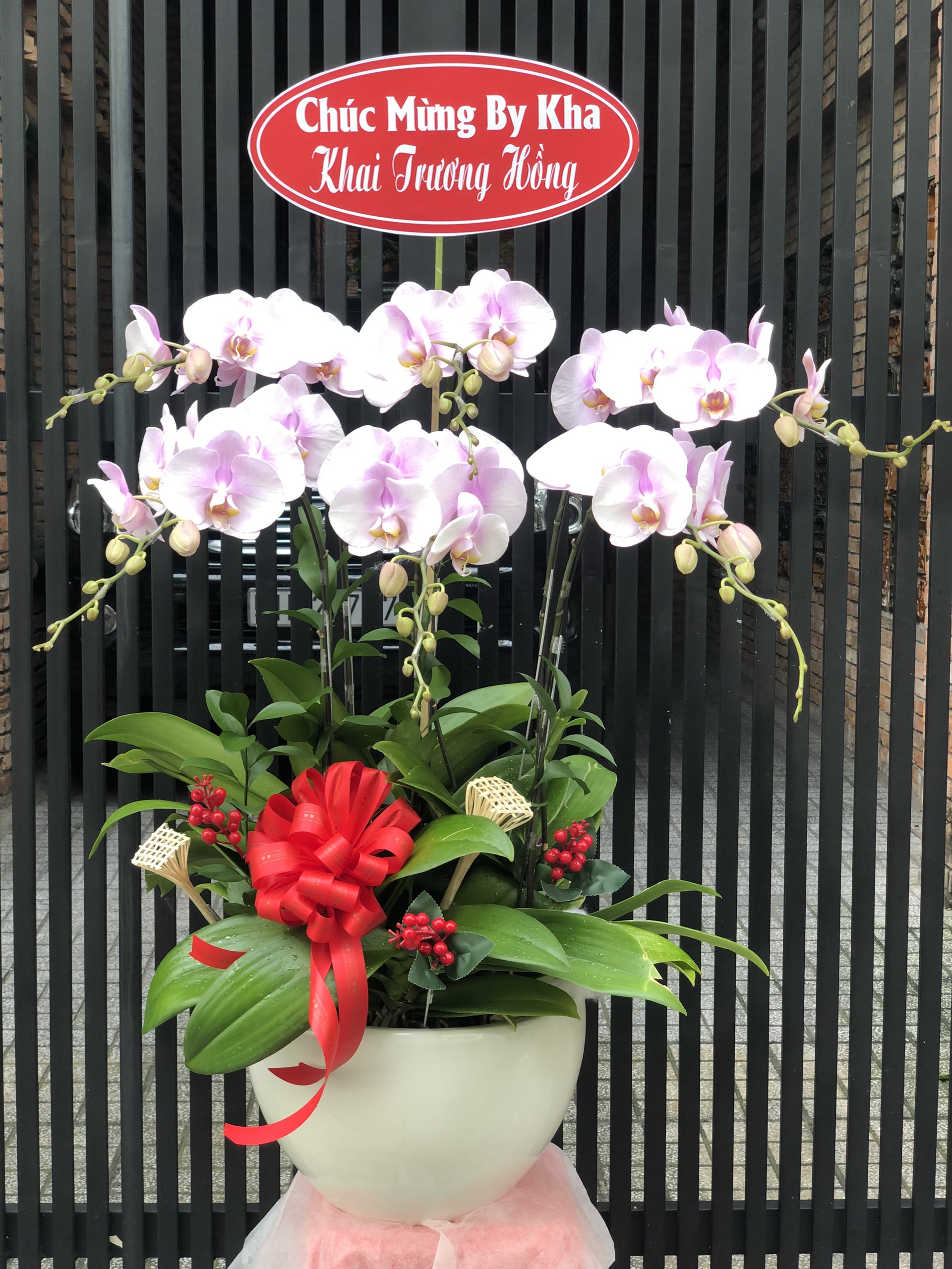 Hoa Lan Khai Trương 00042